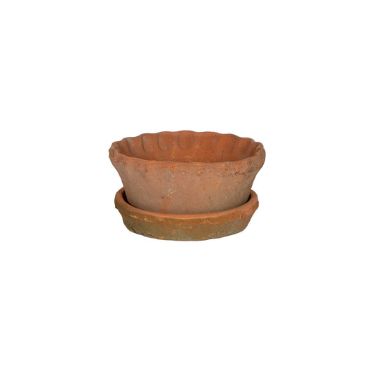 Shallow Frilly Edge Terracotta Pot + Saucer