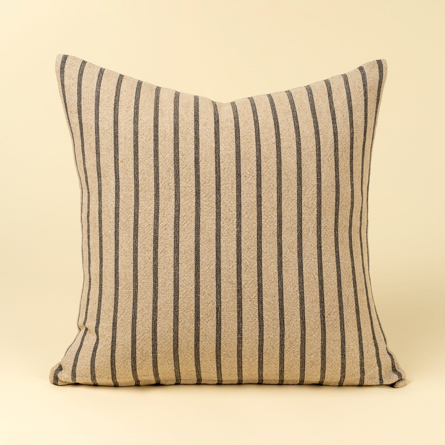 Silas Stripe Pillow - 20x20