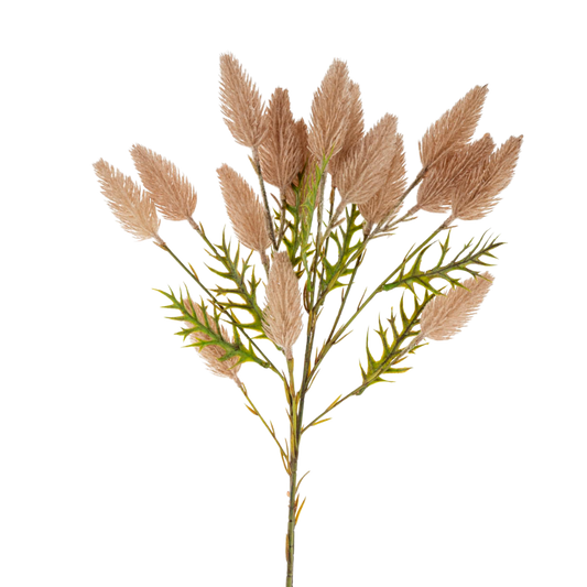 Pussytail Grass Spray