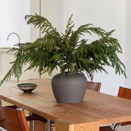 Norfolk Faux Pine Branch