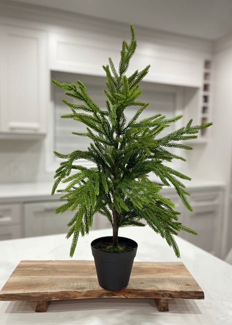 Norfolk Faux Pine Tree: Plastic Pot