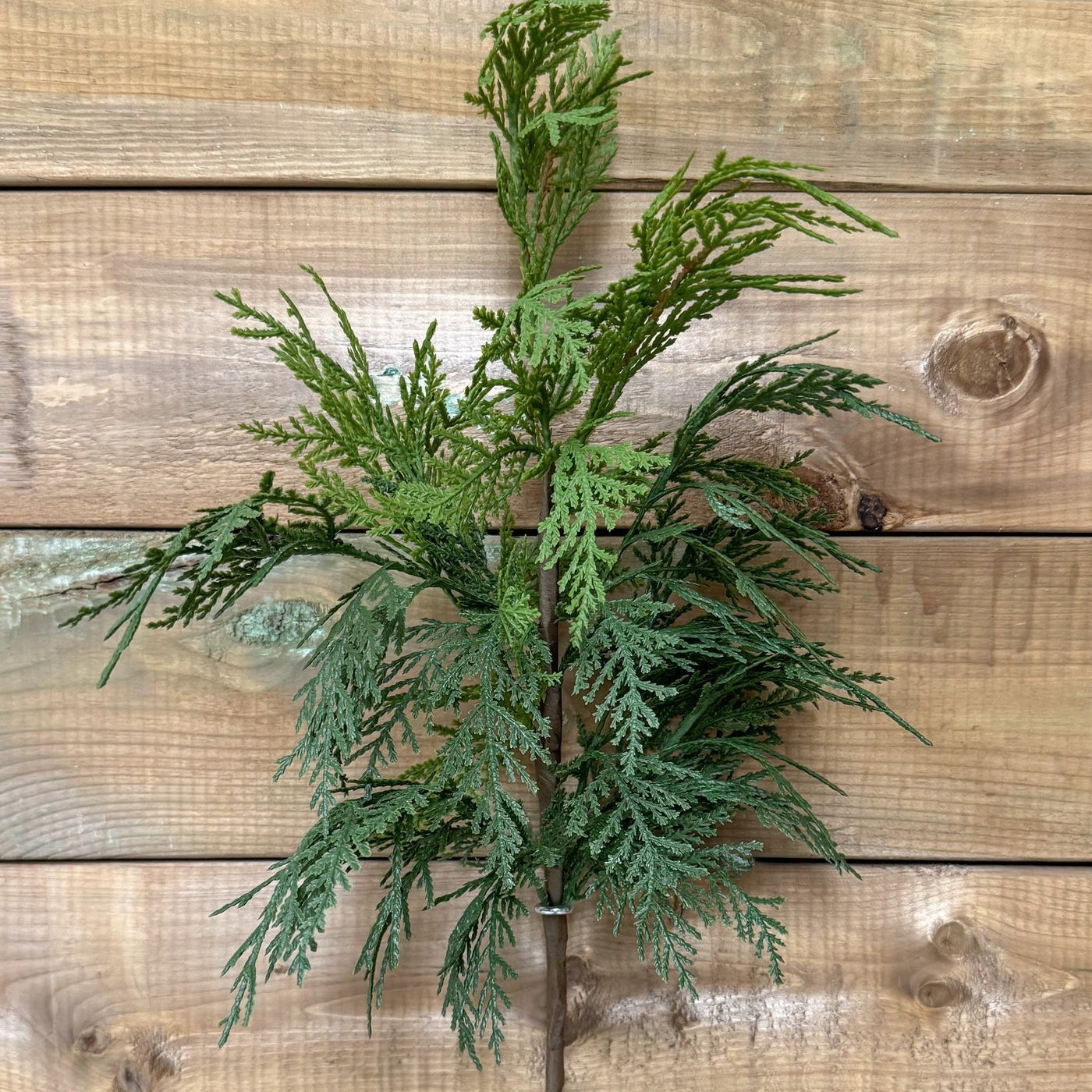 Faux Northern White Cedar Spray