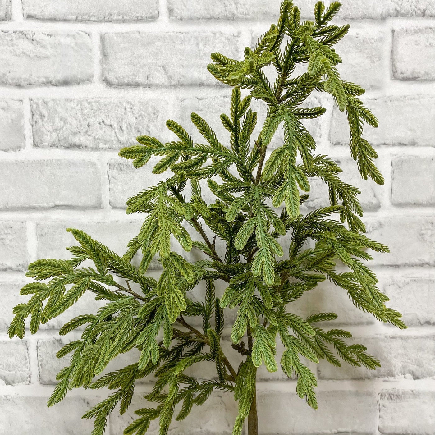 Faux Norfolk Island Pine Spray