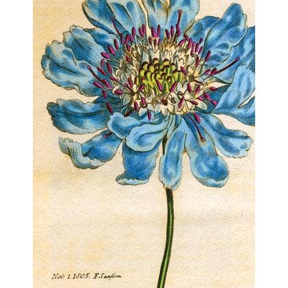 Card: Blue Flower