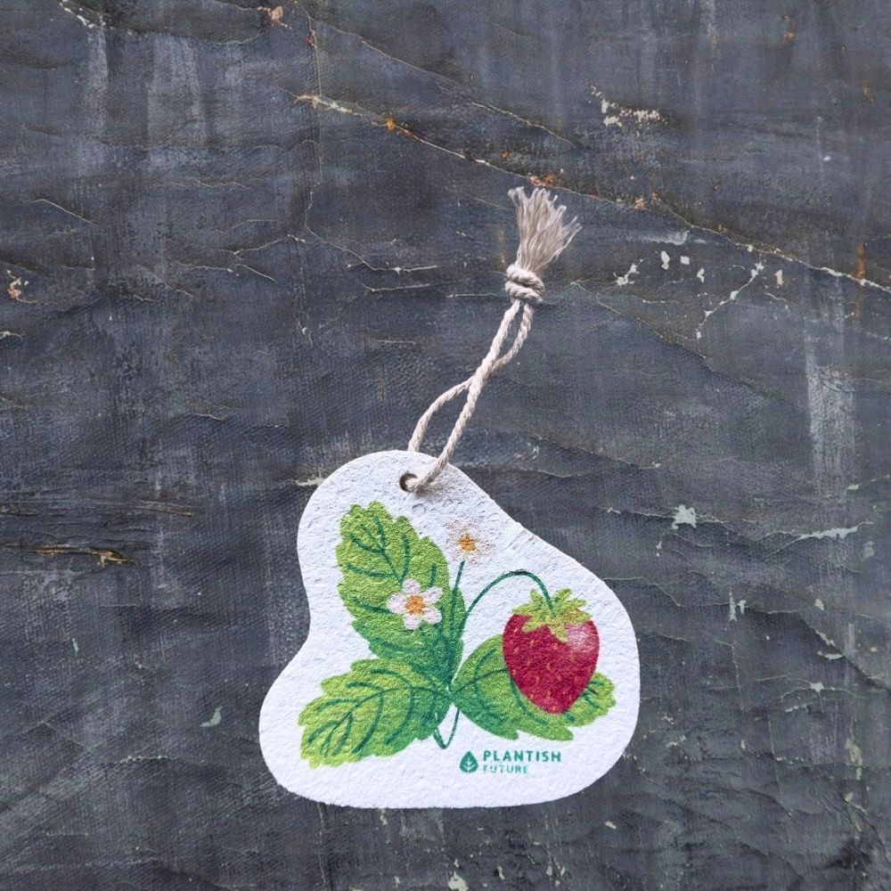 Holiday Ornament Pop-Up Sponge