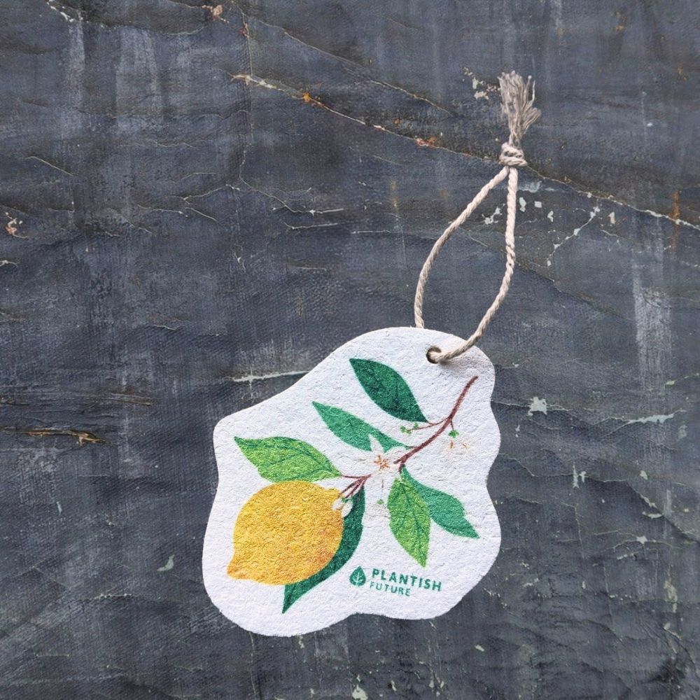 Holiday Ornament Pop-Up Sponge