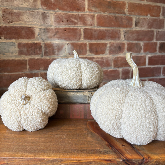 Boucle Pumpkin