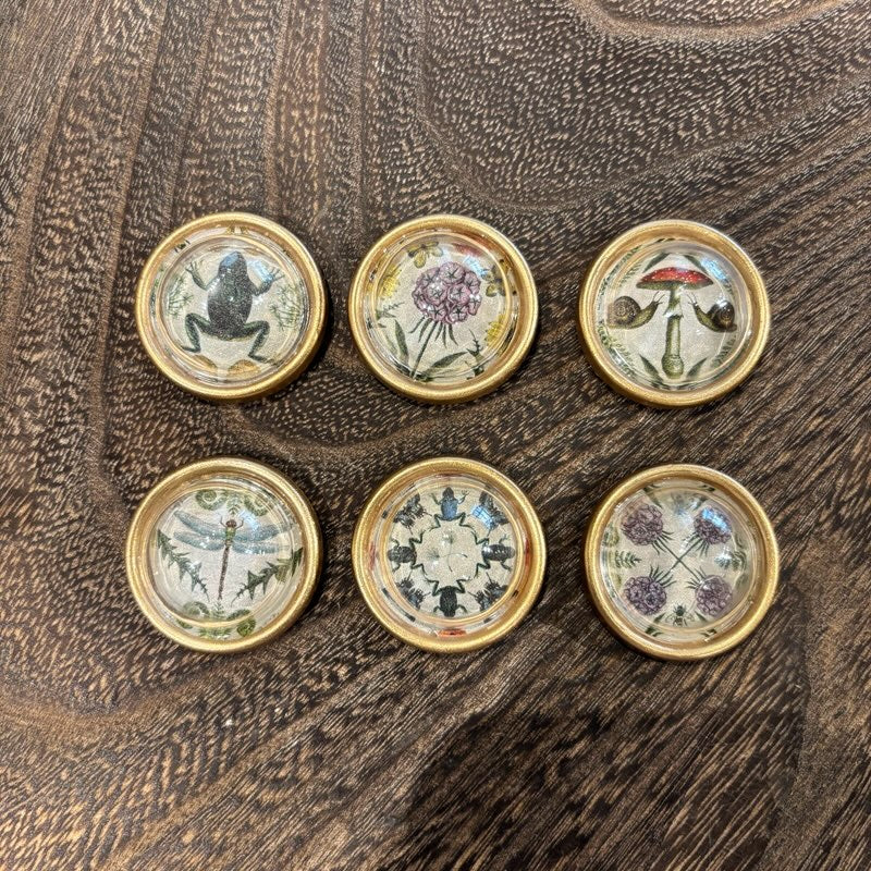 Gold Magnets w/ Botanical Motif