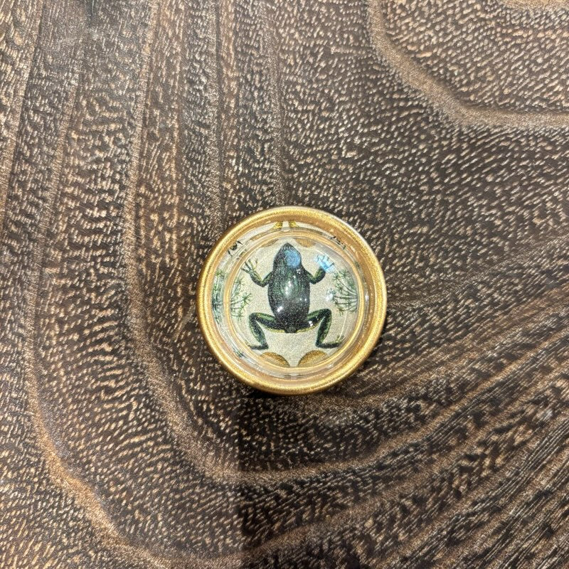 Gold Magnets w/ Botanical Motif
