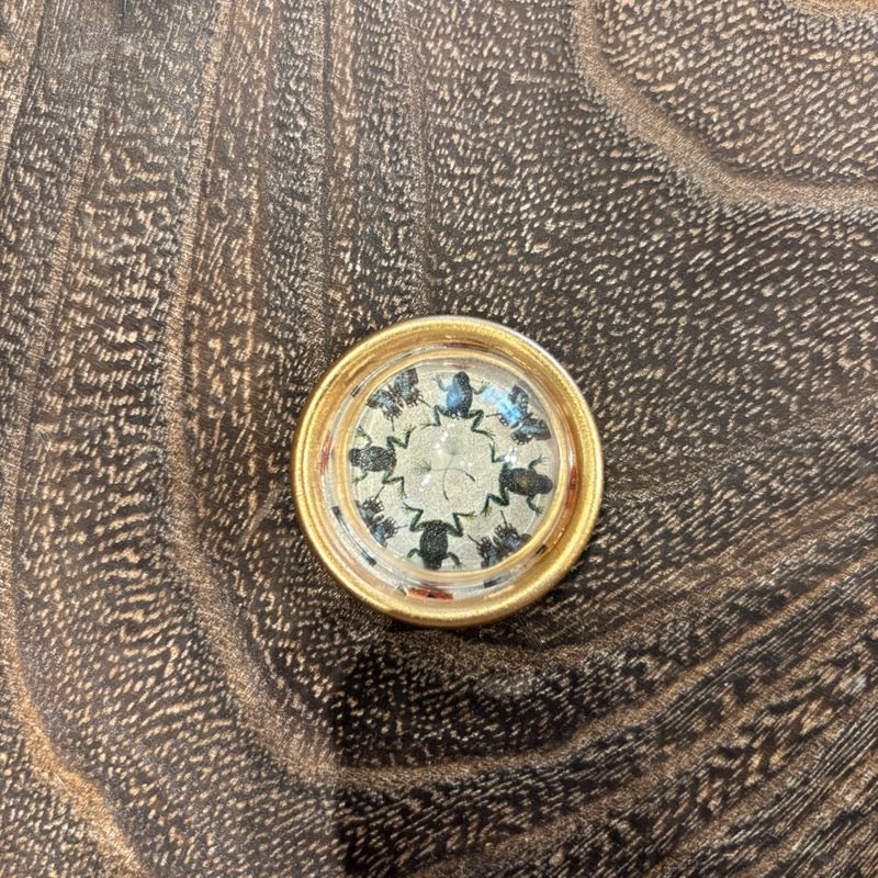 Gold Magnets w/ Botanical Motif