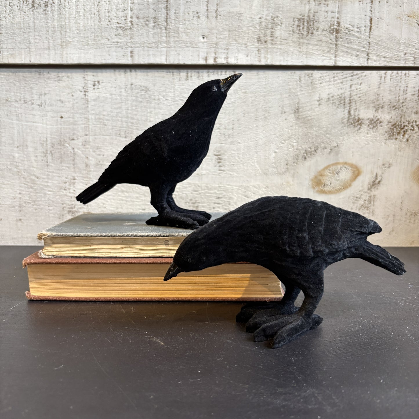 Flocked Resin Crow - Black