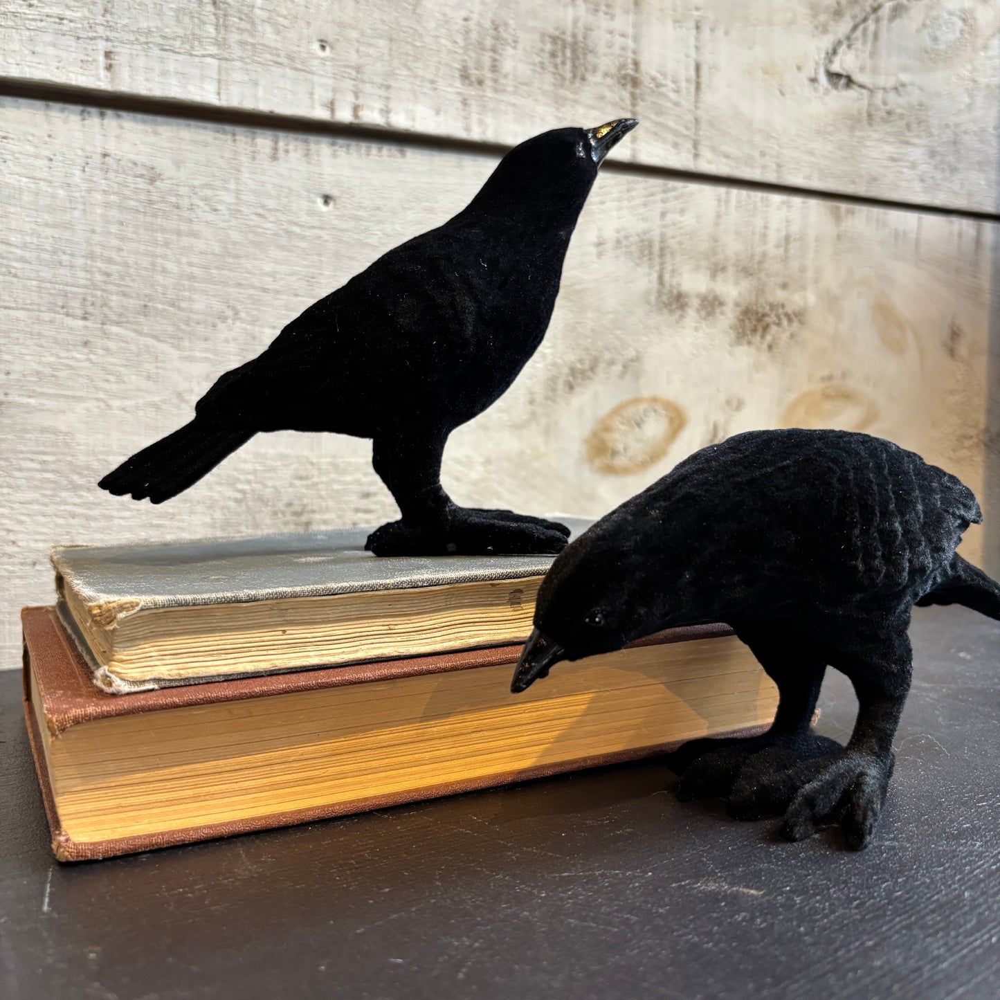 Flocked Resin Crow - Black