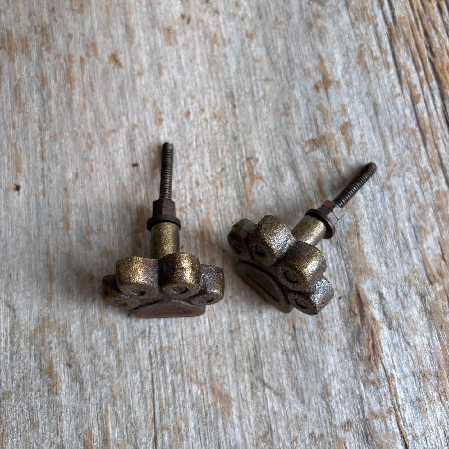 Knob: Iron Paw- Antique Brass