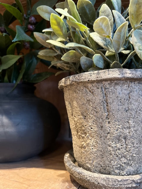 Textured Planter with Saucer