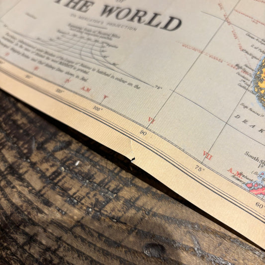 Poster - World Map