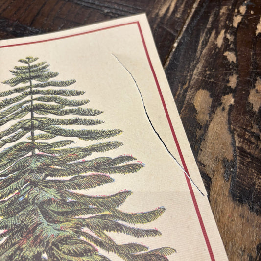 Poster - Christmas Trees