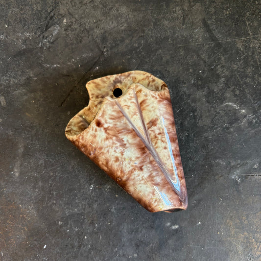 Shell Wall Vase