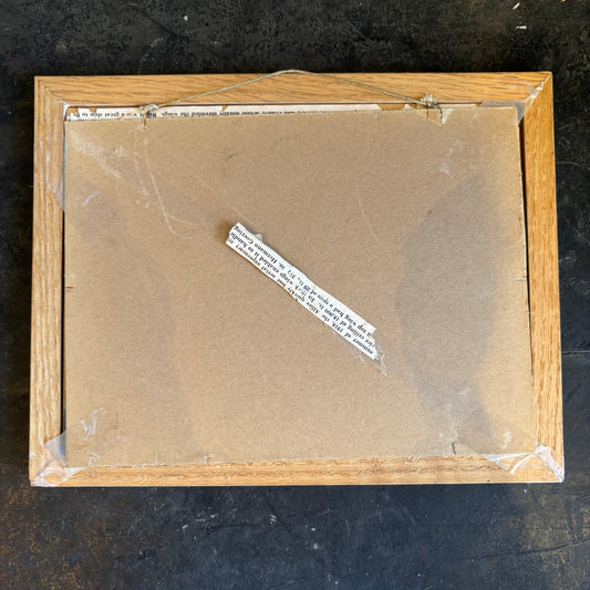 Airplane Picture in Frame