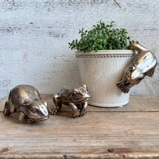 Frog Pot Hanger - Distressed Gold