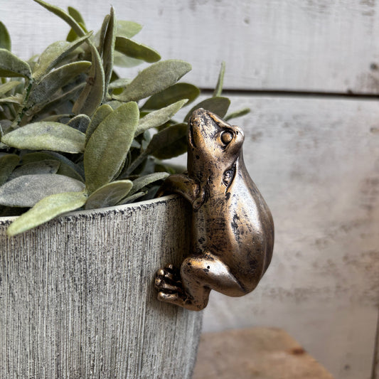 Frog Pot Hanger - Distressed Gold