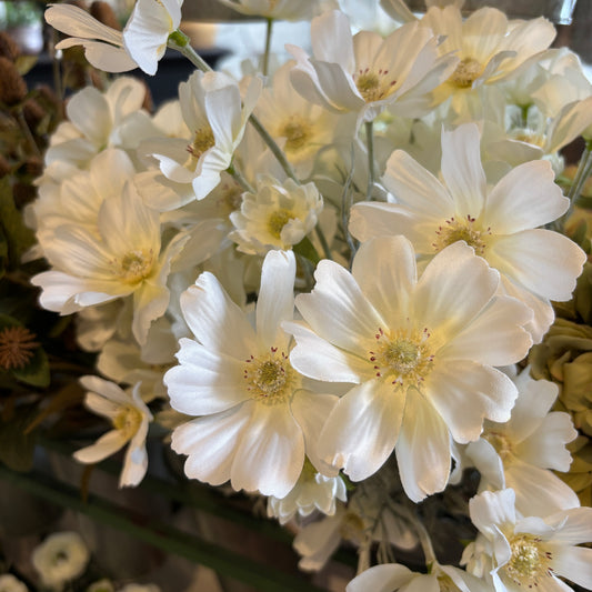 Faux White Cosmos Spray