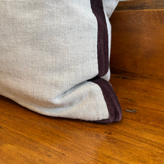Velvet Trim Pillow - 20 x 20