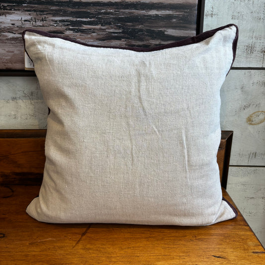 Velvet Trim Pillow - 20 x 20