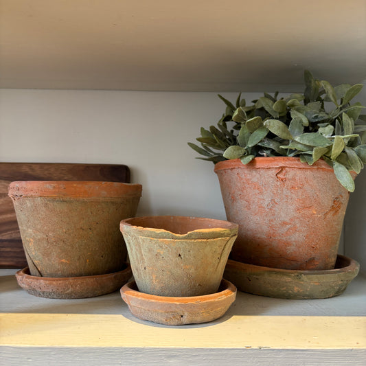 Aged Clay Cactus Pot w/ Saucer