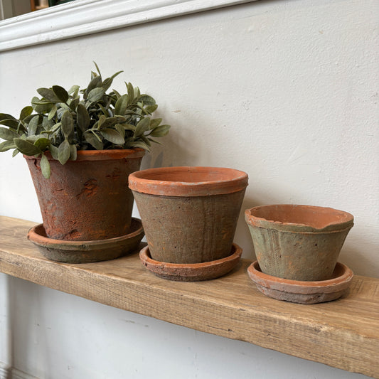 Aged Clay Cactus Pot w/ Saucer
