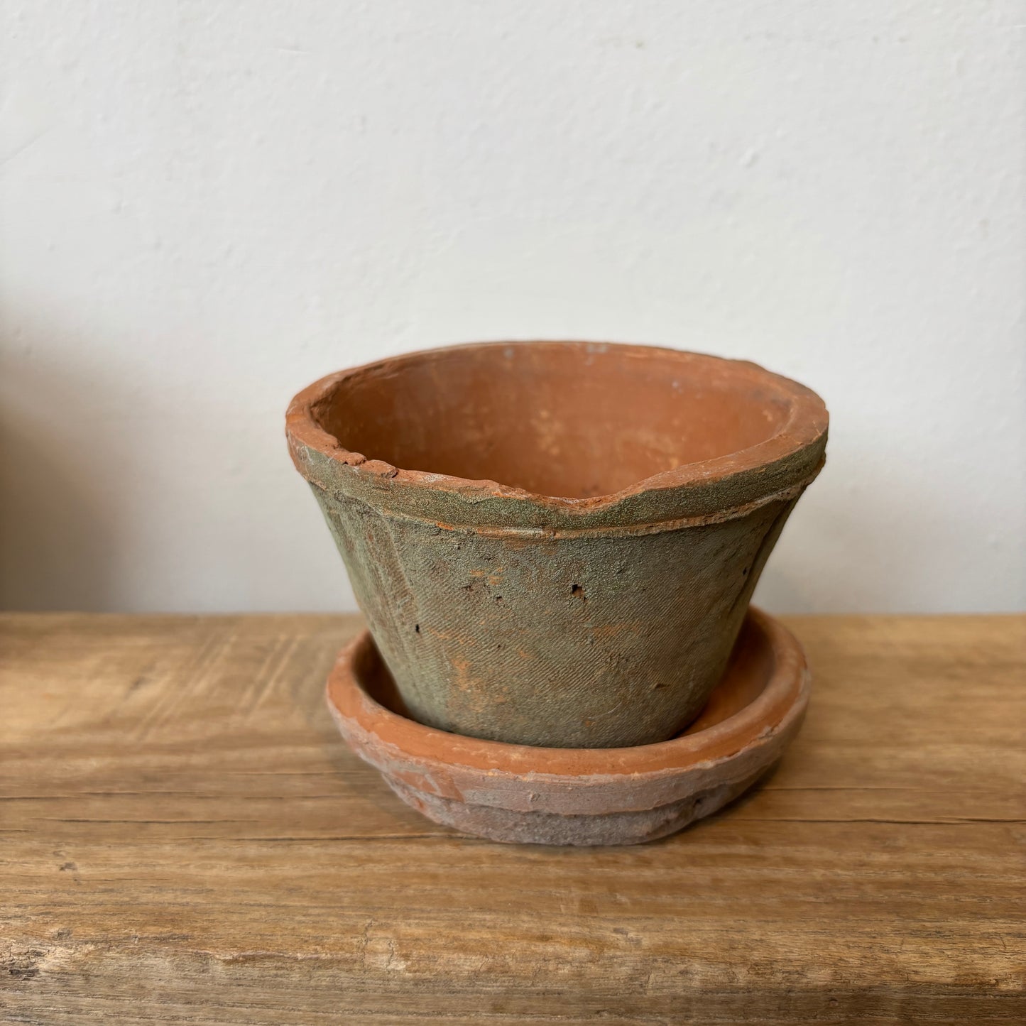 Aged Clay Cactus Pot w/ Saucer