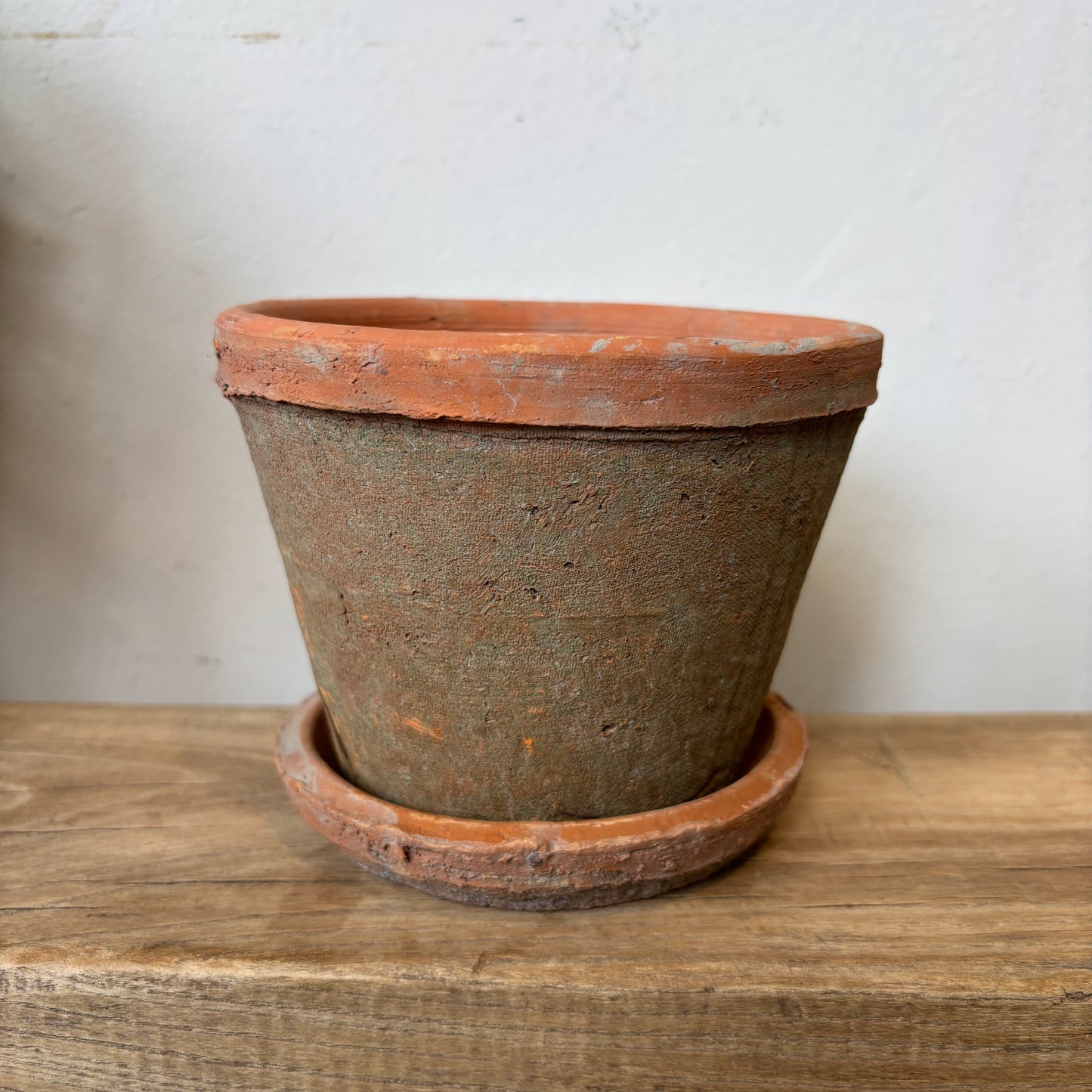 Aged Clay Cactus Pot w/ Saucer