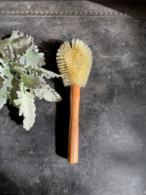 Dish Brush