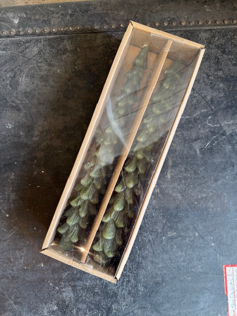 Tree Taper Candles - Evergreen
