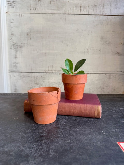 Mini Terracotta Pots - Set of 2