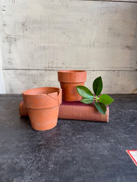 Mini Terracotta Pots - Set of 2
