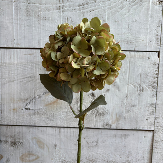 Faux Faded Hydrangea Stem - Green