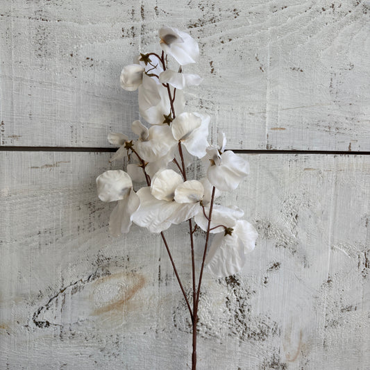 Faux Sweet Pea Stem - Cream