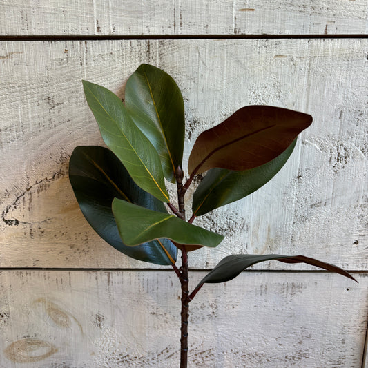 Faux Magnolia Leaf Branch - Green