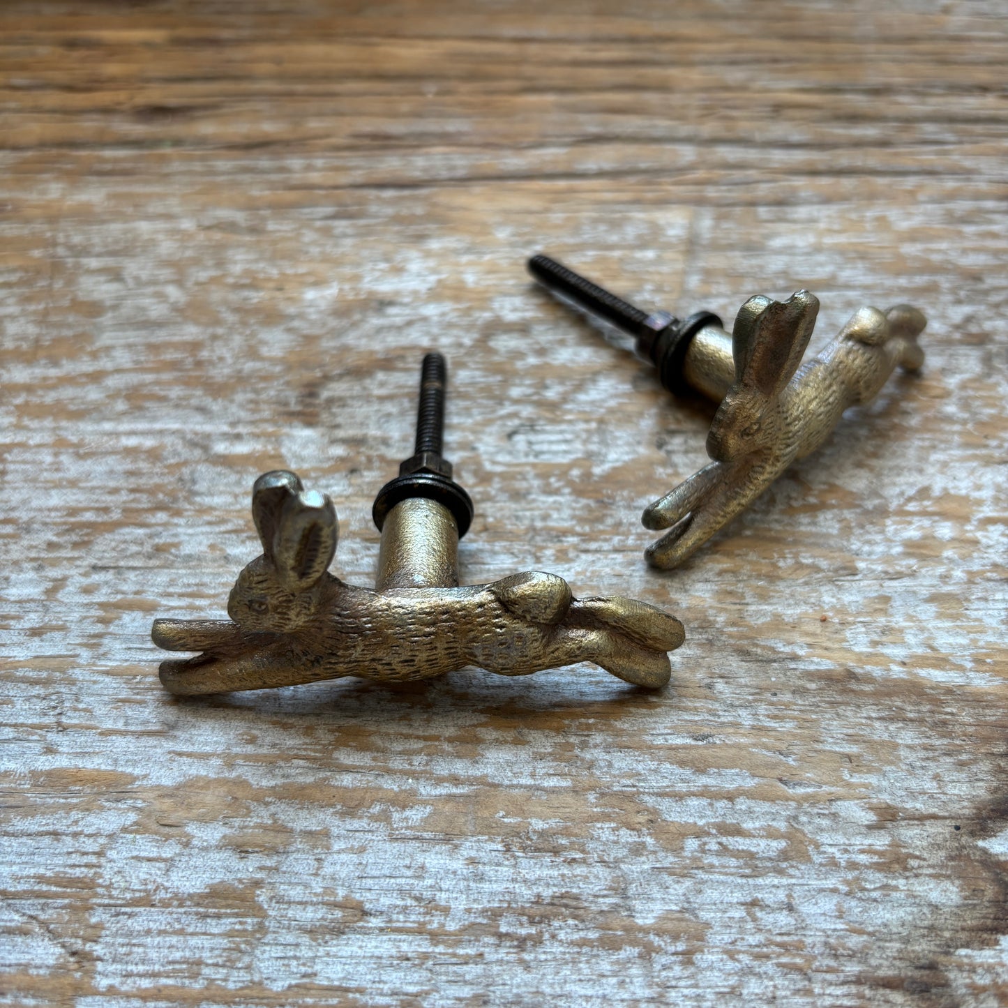 Knob: Antique Brass Bunny