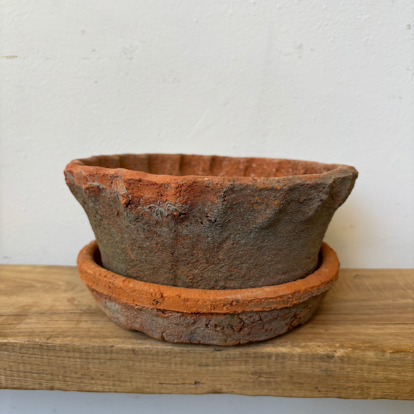 Shallow Frilly Edge Terracotta Pot + Saucer
