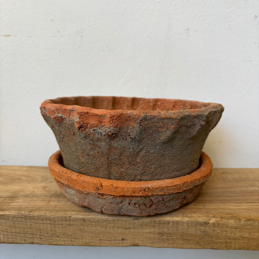 Shallow Frilly Edge Terracotta Pot + Saucer