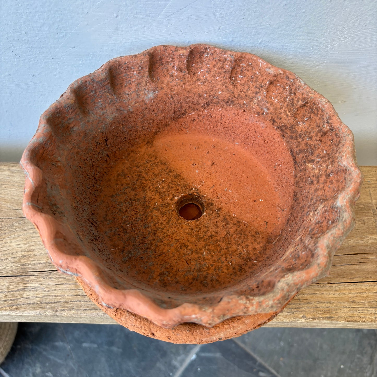 Shallow Frilly Edge Terracotta Pot + Saucer