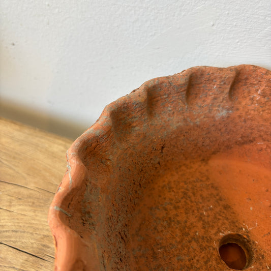 Shallow Frilly Edge Terracotta Pot + Saucer