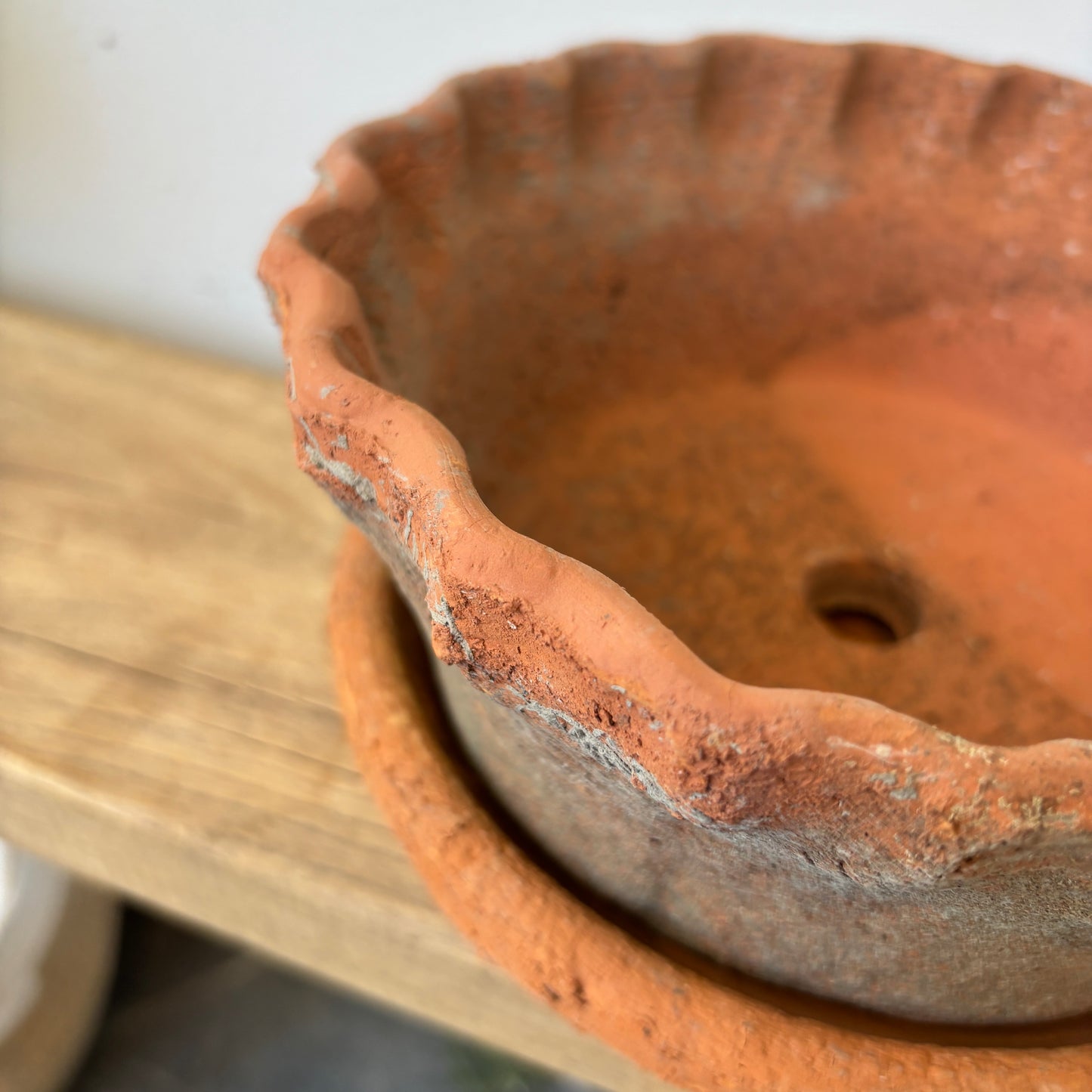 Shallow Frilly Edge Terracotta Pot + Saucer