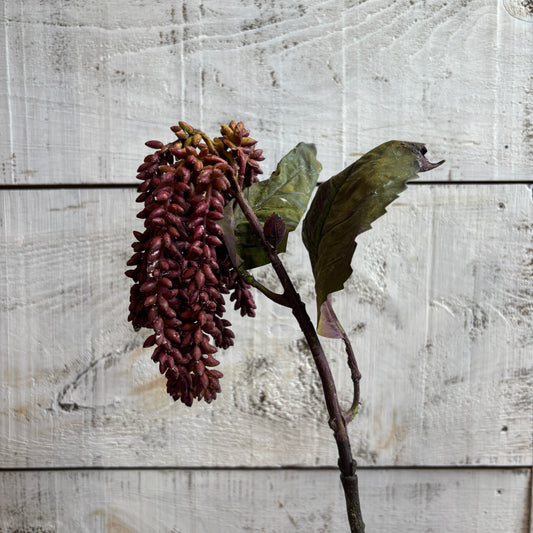 Faux Dripping Seed Stem