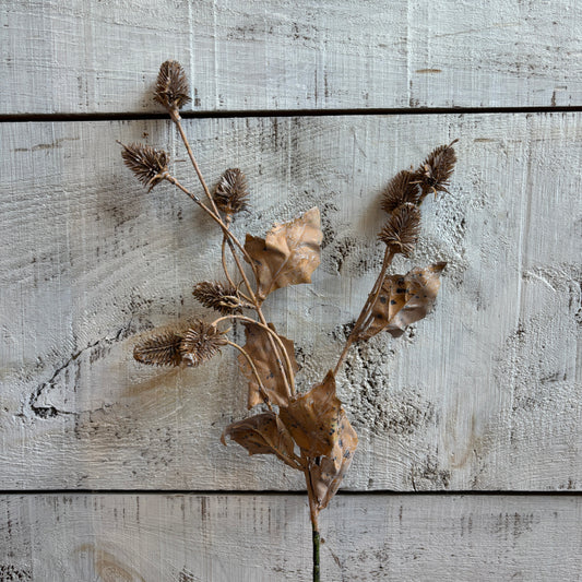 Faux Dried Thistle Spray