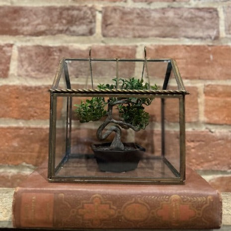 House Terrarium