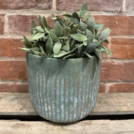 Green Cement Pot