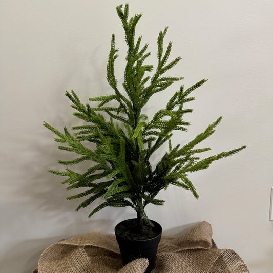 Norfolk Faux Pine Tree: Plastic Pot