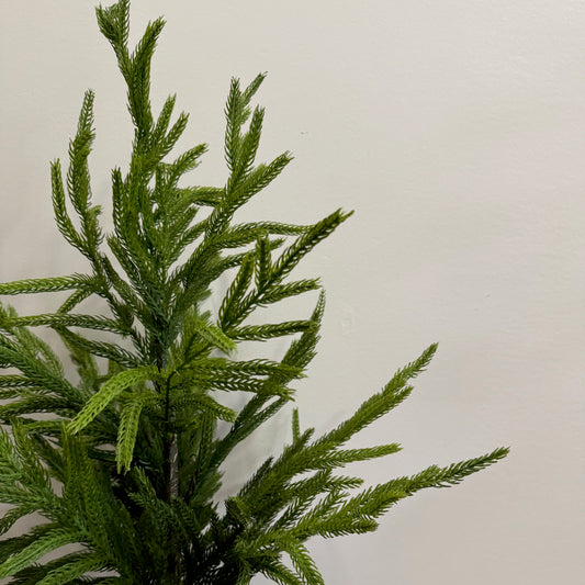 Norfolk Faux Pine Tree: Plastic Pot